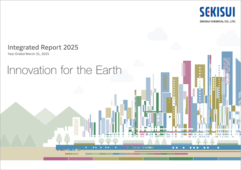Integrated Report 2025