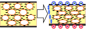 Mechanism of the Sensor