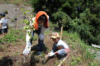 Planting activities by Sekisui Heim Kyushu Group