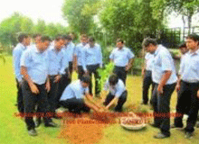 SEKISUI DLJM MOLDING PRIVATE LTD. (India)　Tree planting