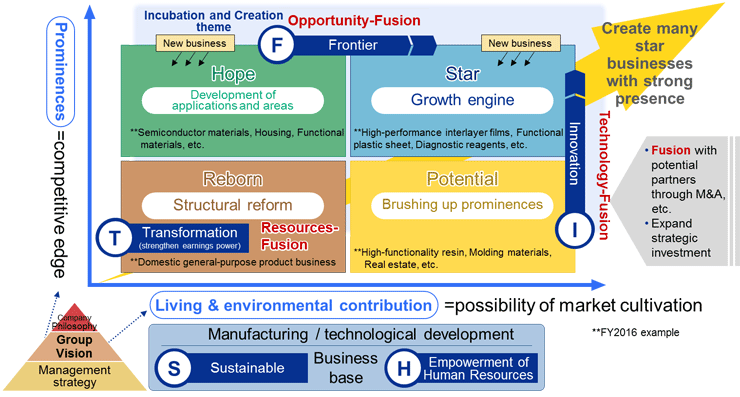 Overall Image of the Midterm Management Plan Strategies 