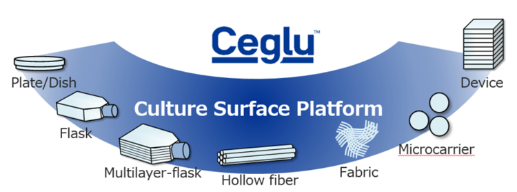 Ceglu